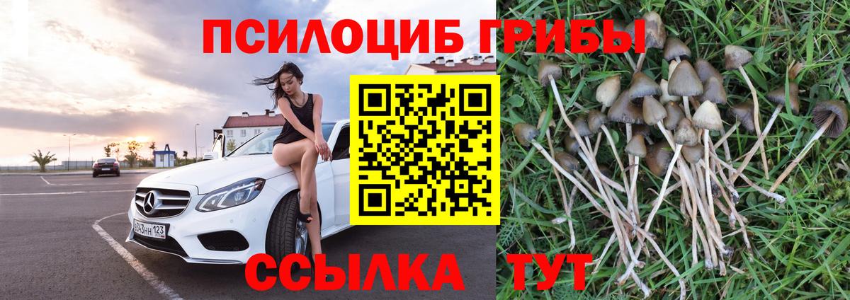 Новочебоксарск  МАРИХУАНА  Вход с VPN  MDMA  Лсд 25  Гашиш  МЕФ кристаллы 