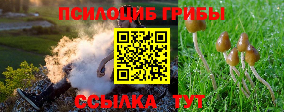 Псилоцибиновые грибы GOLDEN TEACHER  Вход с VPN  сколько стоит  Новочебоксарск 